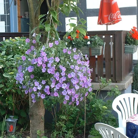 Berggarten Schwalenberg