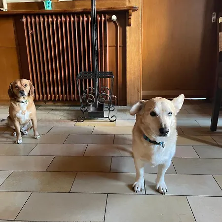 Szálloda Berggarten Schwalenberg 3*