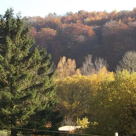 Hotel Berggarten Schwalenberg