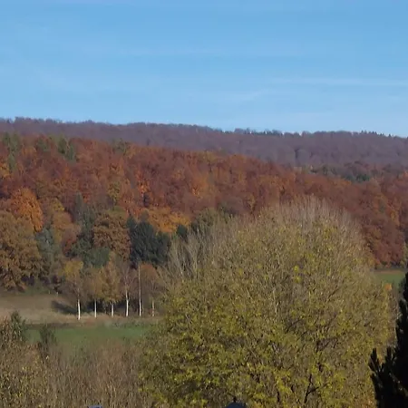 Berggarten Schwalenberg Hotel 3*