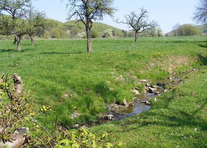 Hotel Berggarten Schwalenberg 3*