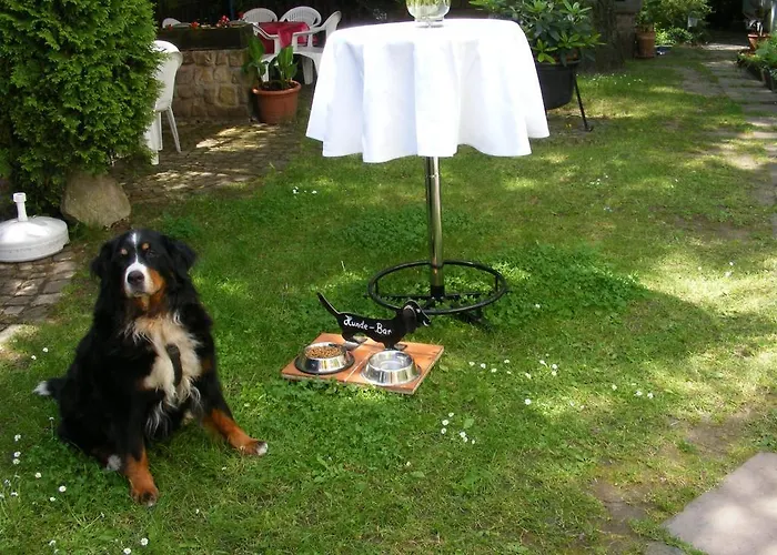 Berggarten Schwalenberg 酒店