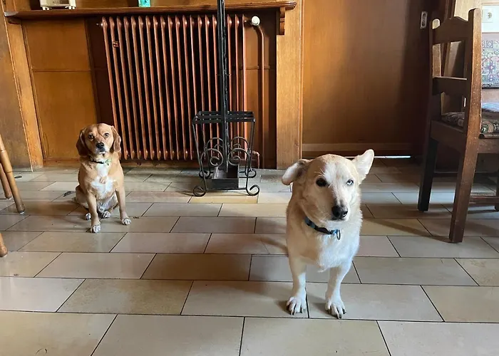 酒店 Berggarten Schwalenberg 3*