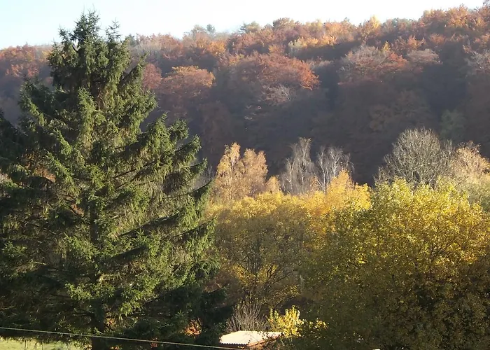 Hotel Berggarten Schwalenberg