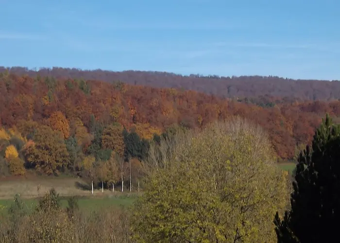 Berggarten Schwalenberg Hotel 3*