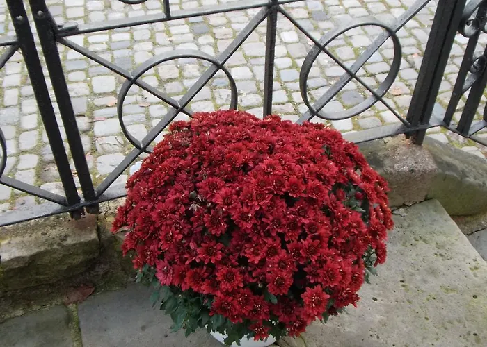 Berggarten Schwalenberg